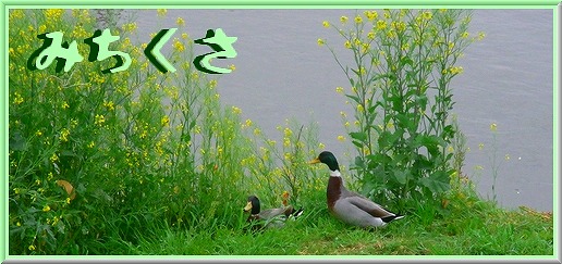みちくさ