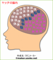 userimage